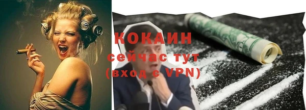 тгк Алексин