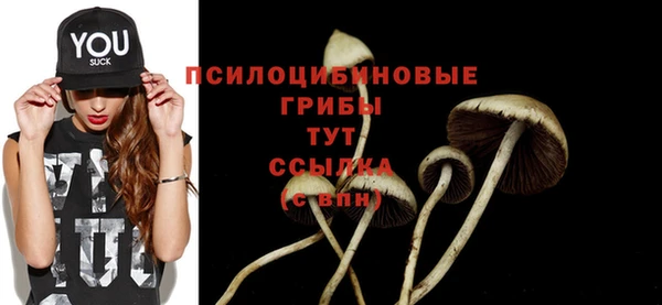 прущие крисы Алзамай