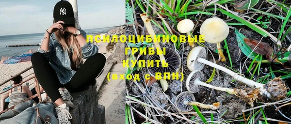 МДМА Новодвинск