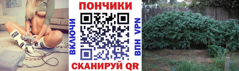 Бошки Шишки семена  Яровое 